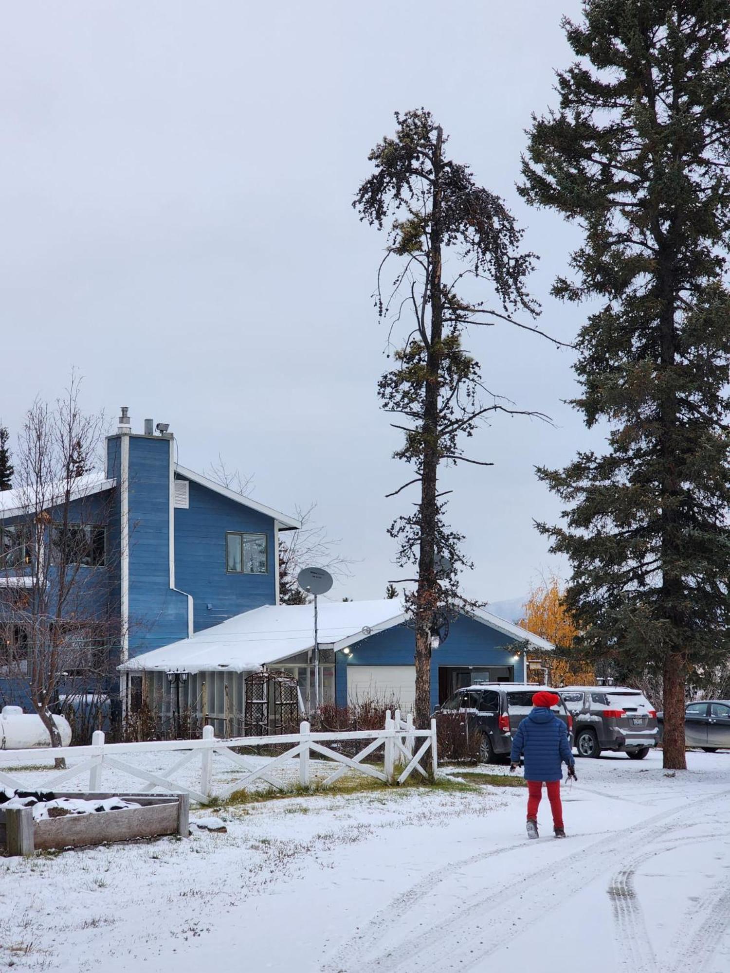 Hidden Valley Bed And Breakfast Whitehorse Exterior foto
