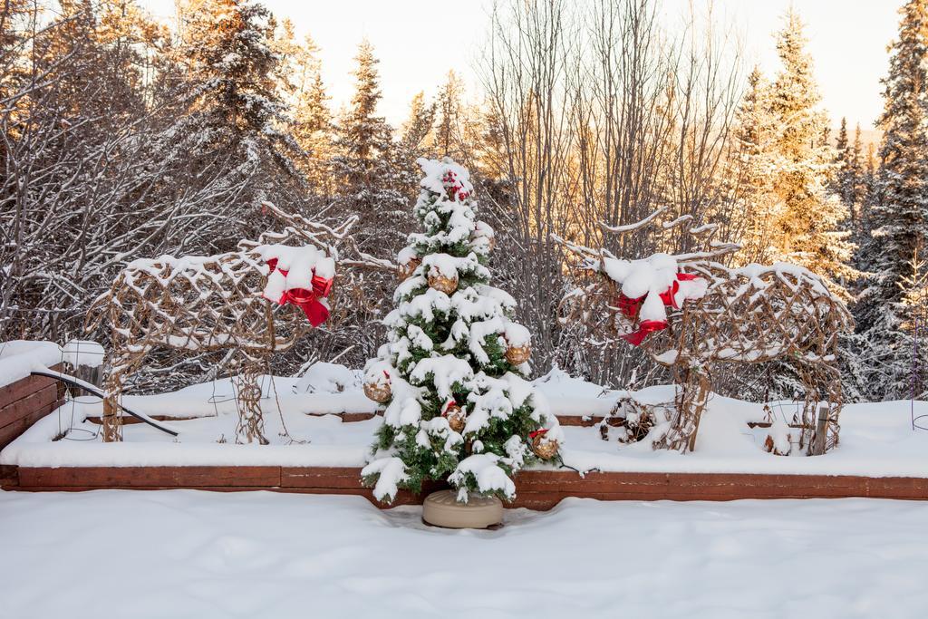 Hidden Valley Bed And Breakfast Whitehorse Exterior foto